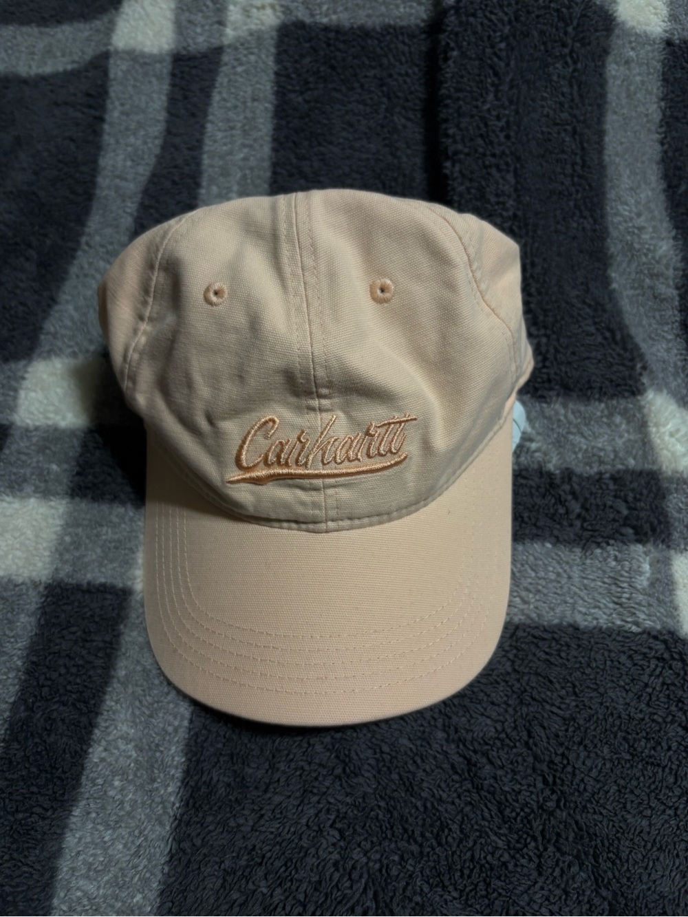 Carhartt Script Logo Cap in Peach